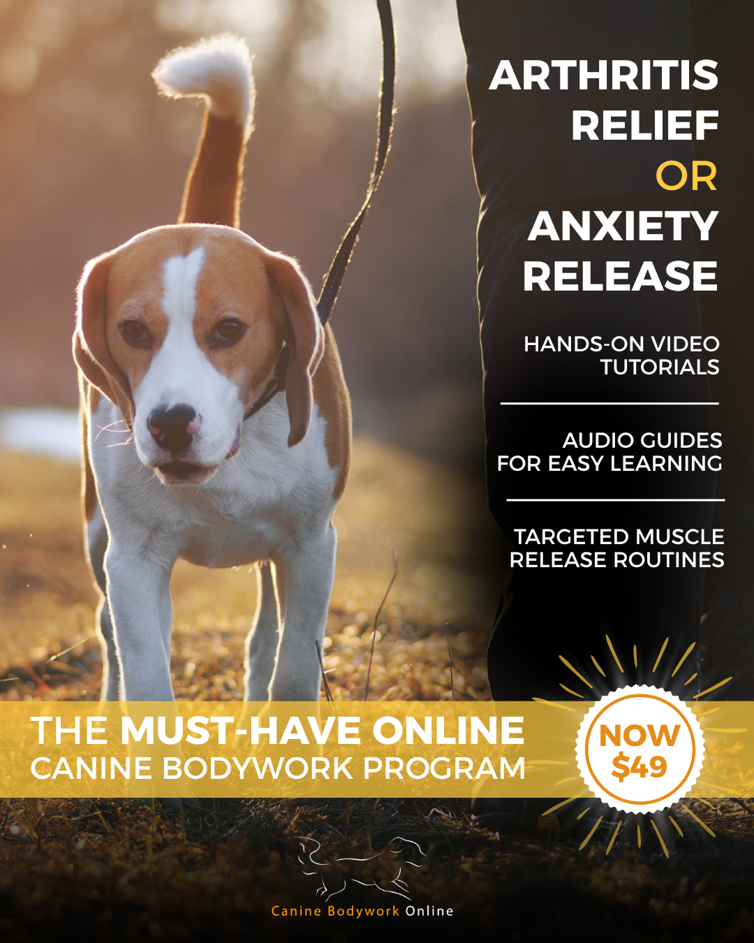 Canine Bodywork Online