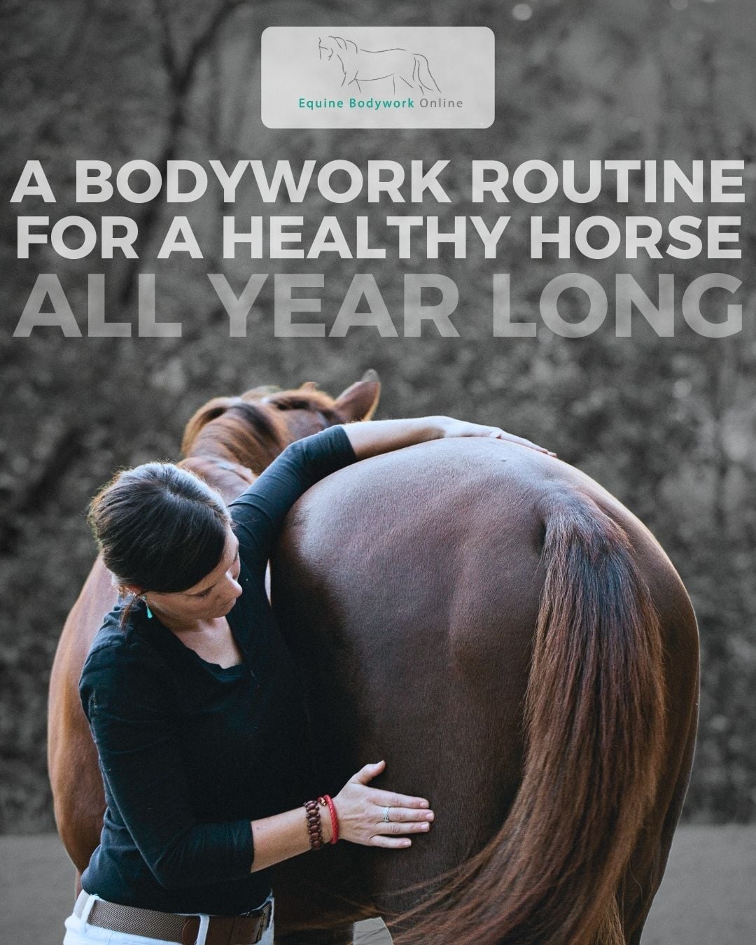 Equine Bodywork Online