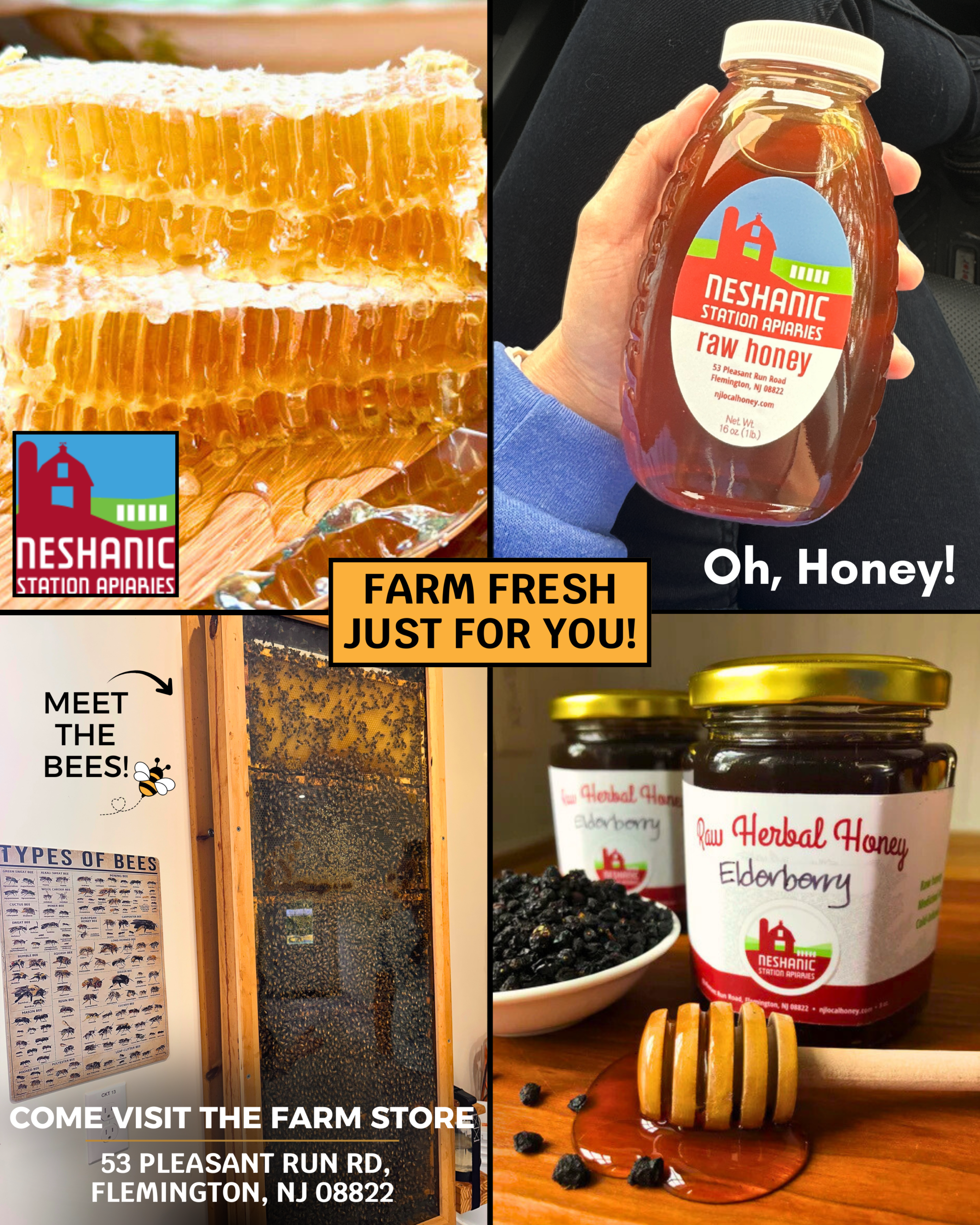 Neshanic Station Apiaries 2