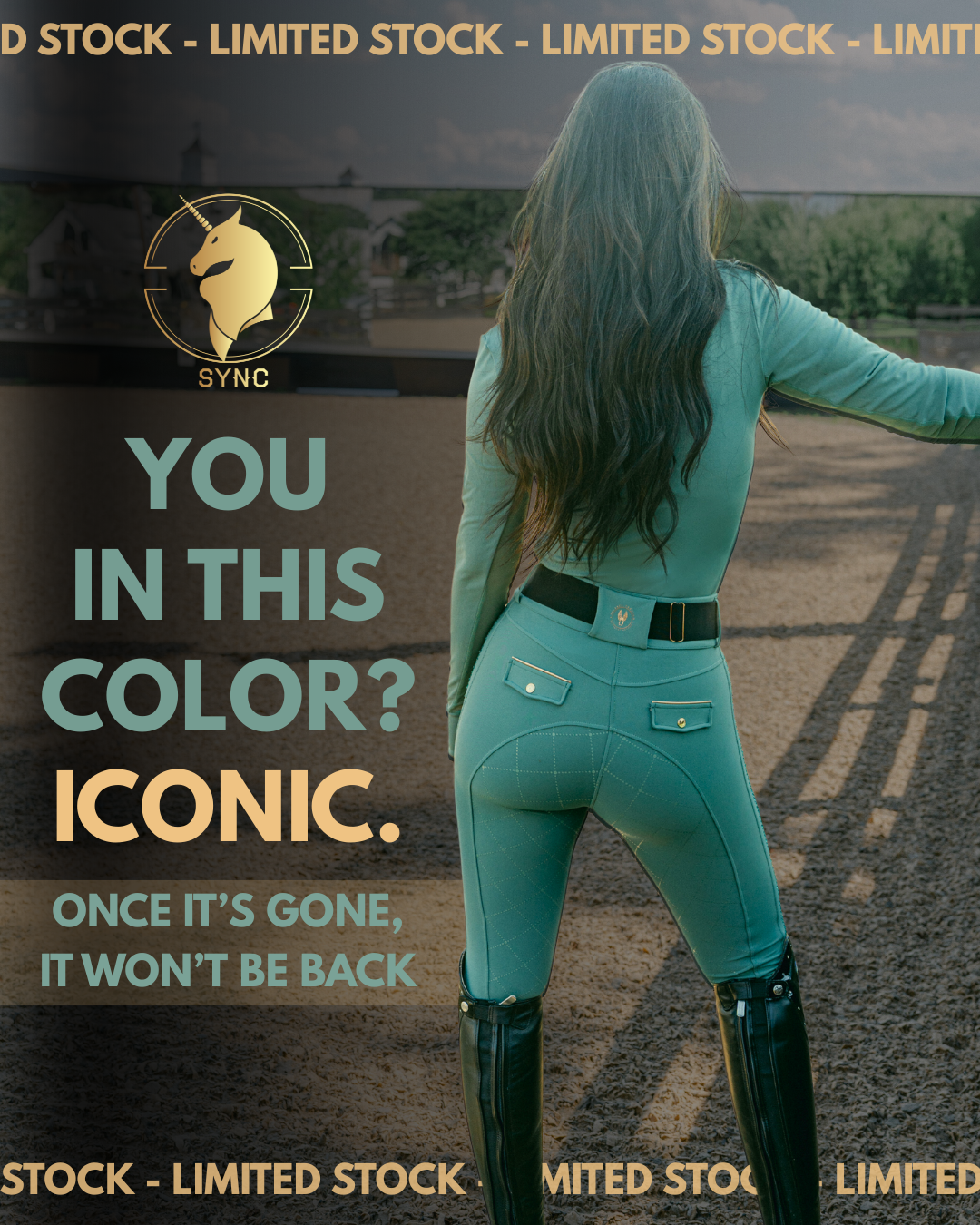 Sync Equestrian