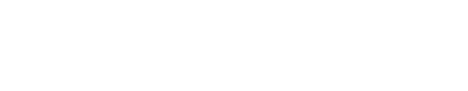 Nipps Media